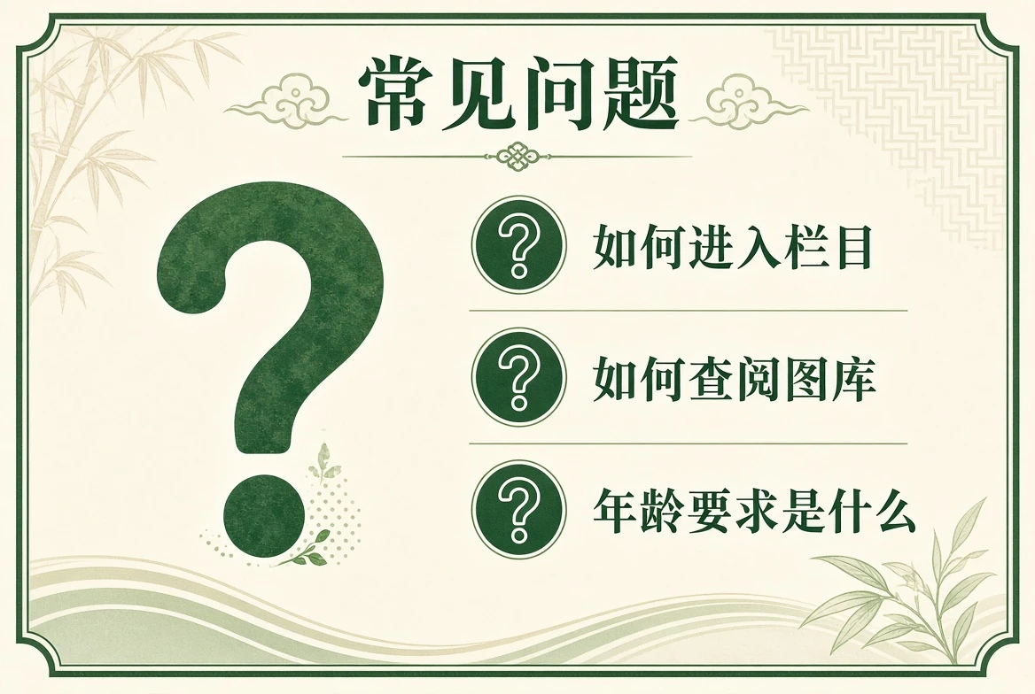 常见问题中文资讯示意图